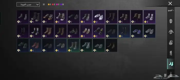 حساب ببجي لفل 77 10