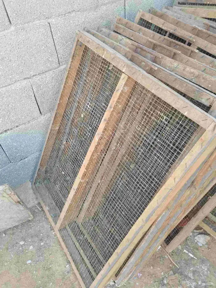 فقاسة ماسه المحمدية 3000 بيضه 2