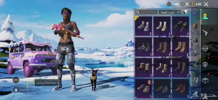 حساب ببجي للبيع 12