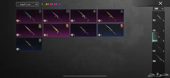 حساب ببجي 24