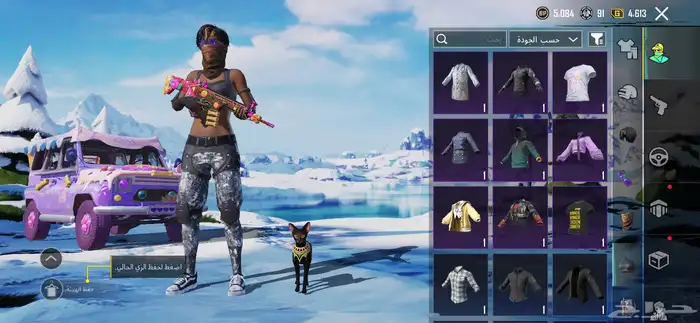 حساب ببجي للبيع 9