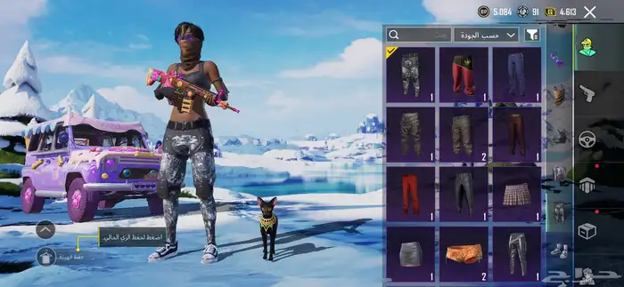 حساب ببجي للبيع 11