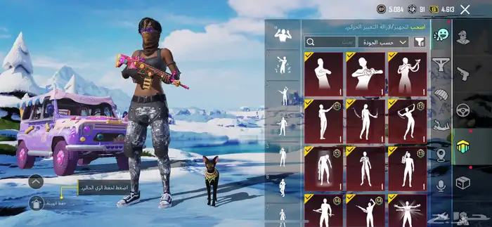 حساب ببجي للبيع 13