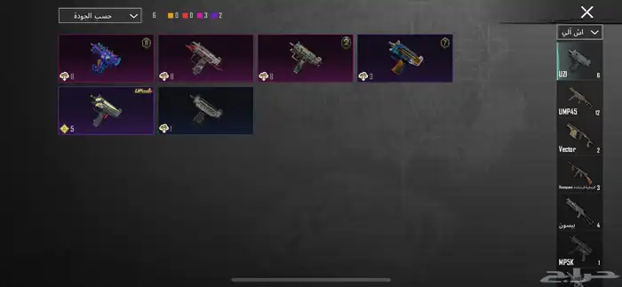 حساب ببجي 29