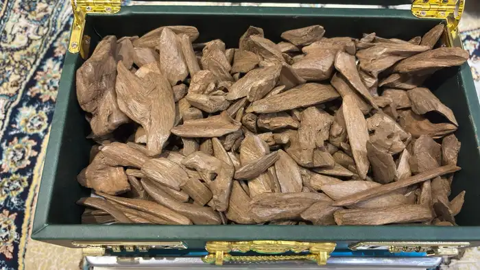 عودة ودهن عود 0