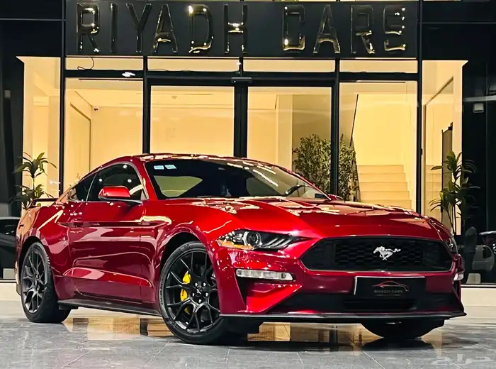 موستنج 2019 (بحاله ممتازه) 0