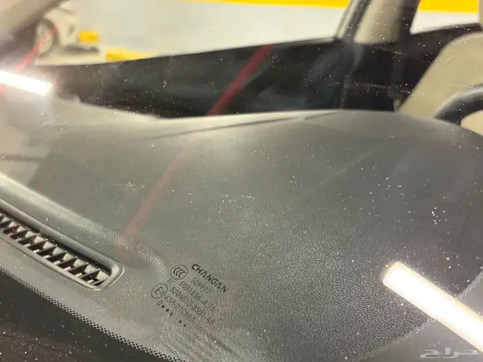 شانجان السفن 2021 24