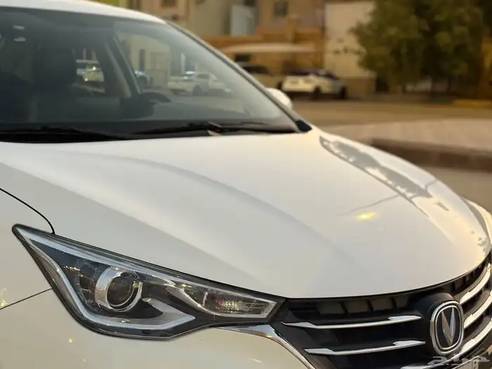 للبيع شانجان السفن 2022 فل كامل 14