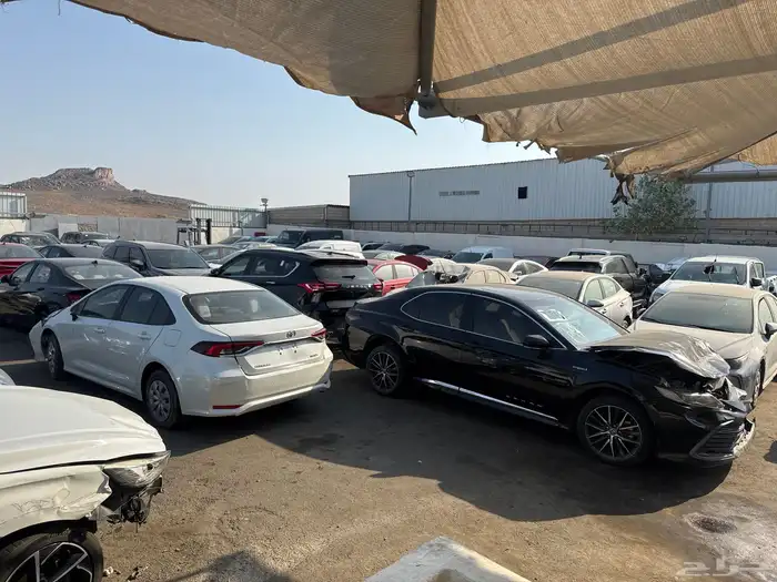 سيارات مصدومه 52