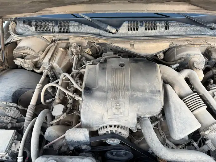 ماركيز 2008 10