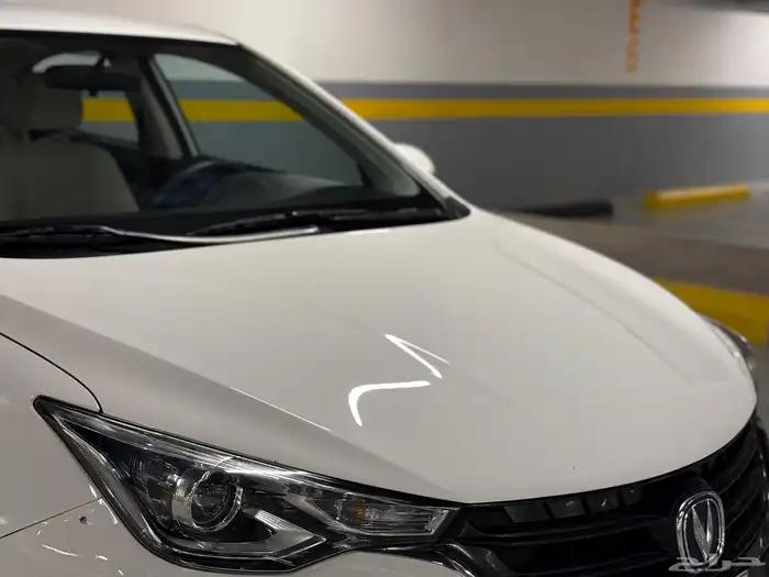 شانجان السفن 2021 9