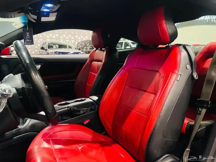 موستنج 2019 (بحاله ممتازه) 6