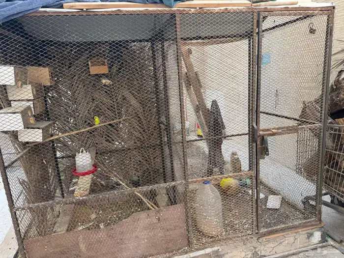 حضيرة طيور مقسومة من داخل فيها باب فاصل وباب خارجي 0