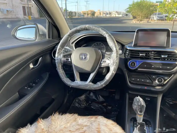 شانجان السفن 2023 6