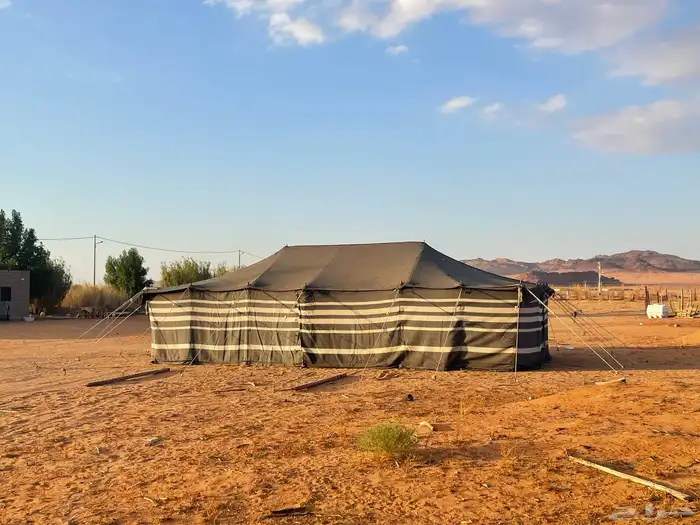 خيمه سودا عمودين 10 5 0