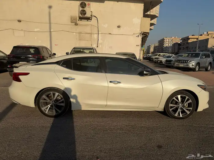 مكسيما 2017-2017 1