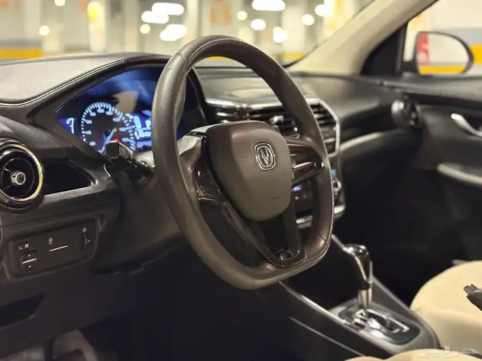 شانجان السفن 2021 19