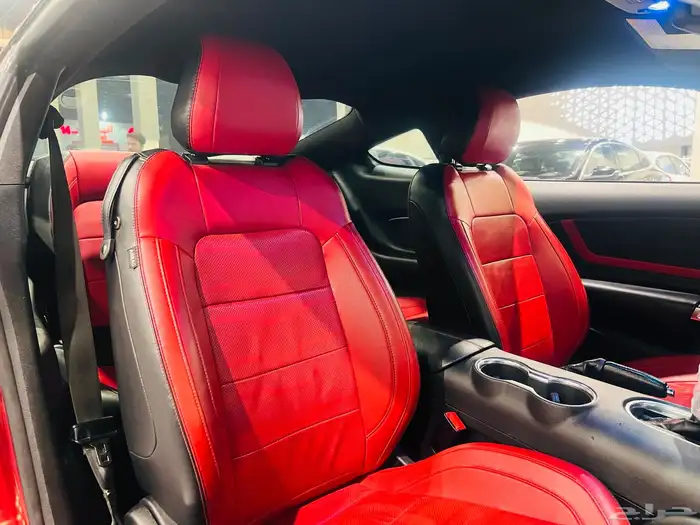 موستنج 2019 (بحاله ممتازه) 16