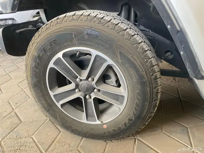 رانجلر صحاري سعودي 2023 12