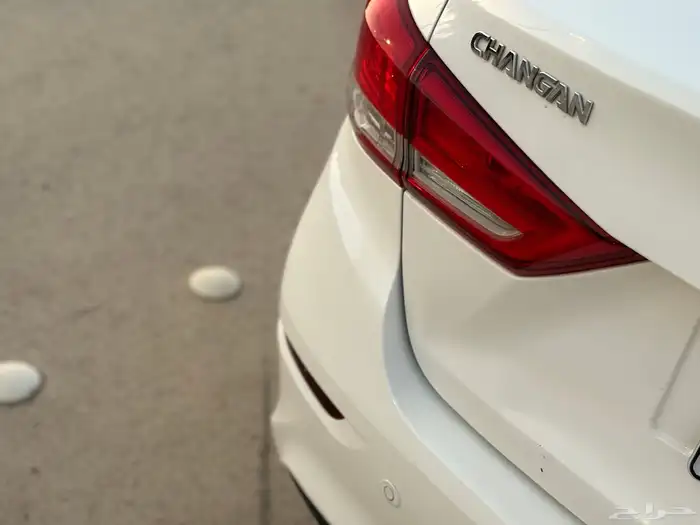 للبيع شانجان السفن 2022 فل كامل 15