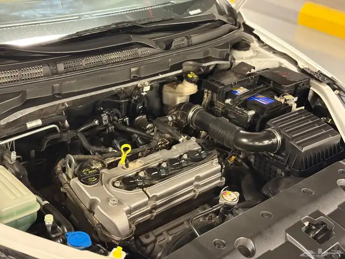 شانجان السفن 2021 26