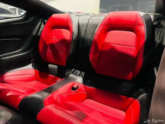 موستنج 2019 (بحاله ممتازه) 8