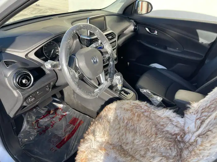 شانجان السفن 2023 8