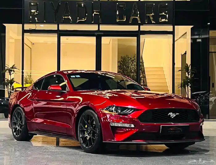 موستنج 2019 (بحاله ممتازه) 1