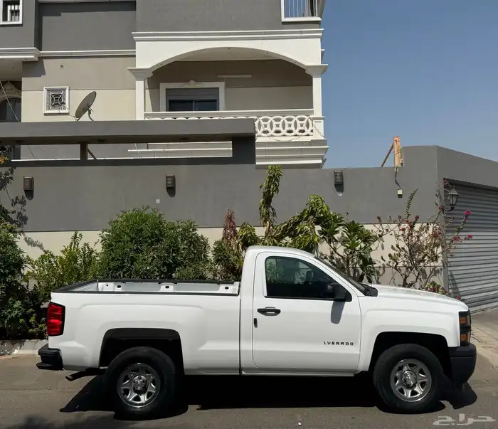 سلفرادوا 2014 4