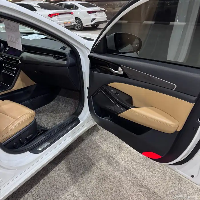 كادينزا 2020 فل كامل بانوراما ( مميزه ) 24