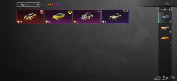 حساب ببجي فخم 12