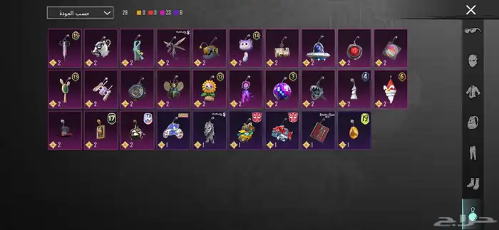 حساب ببجي فخم 11