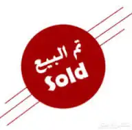 زوج روز البينو مع بيوض 0