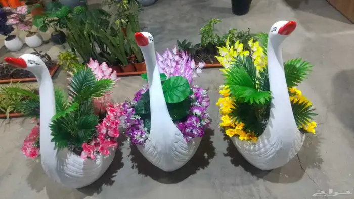 مؤسسة زهرة الخليج الزراعية -نجران -دحضة 7