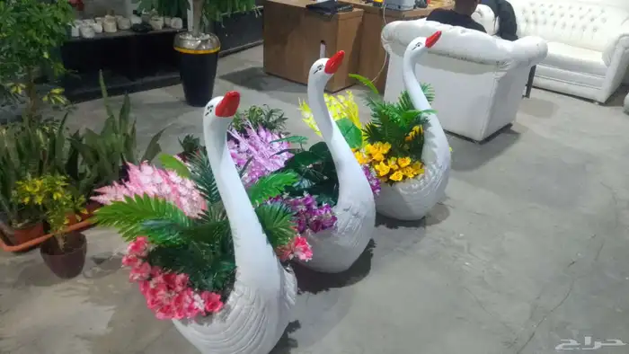 مؤسسة زهرة الخليج الزراعية -نجران -دحضة 9