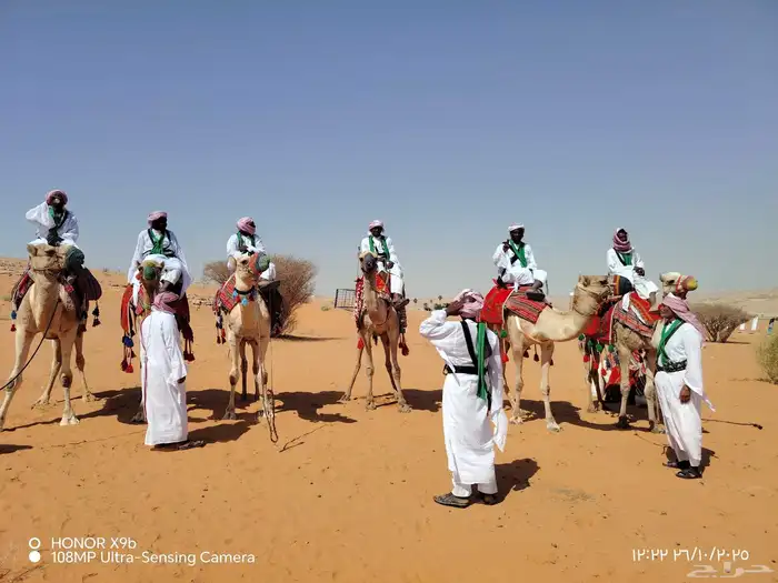 اجار جمال رحول وخيل عربية اصيلة 2