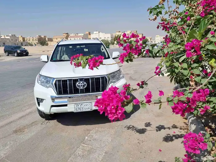 تويوتا برادو ممشى 40. الف 0