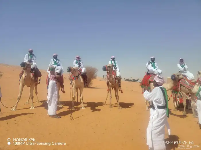 اجار جمال رحول وخيل عربية اصيلة 3