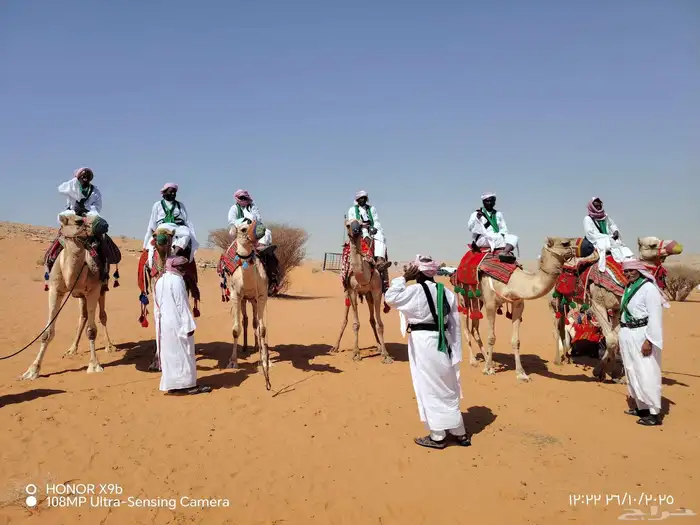 اجار جمال رحول وخيل عربية اصيلة 4
