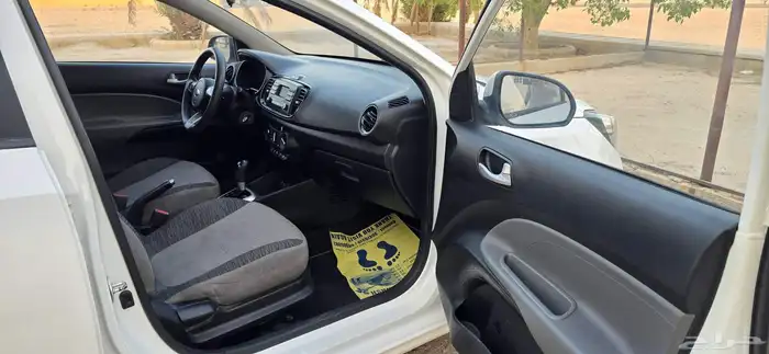 بيجاس 2020 إستاندر 12