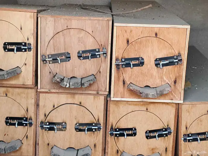 جبوح نحل مجددة للبيع 0