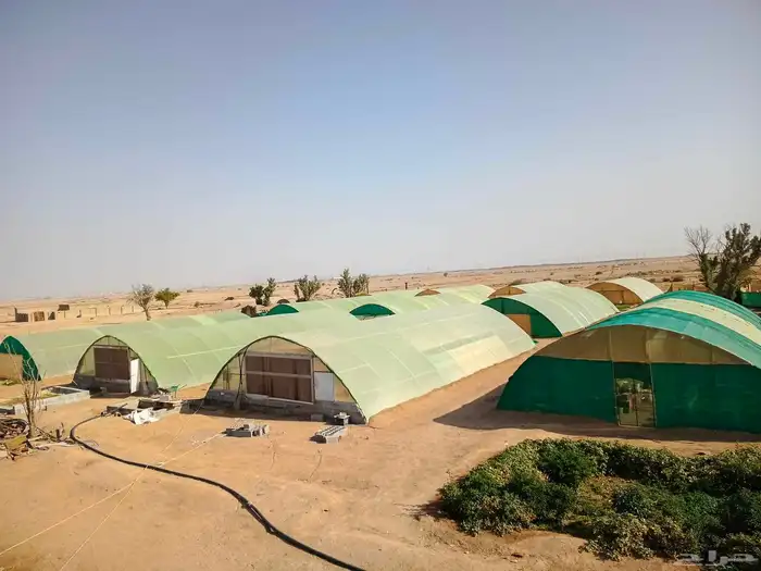 بيوت محميه للايجار منتجه 0