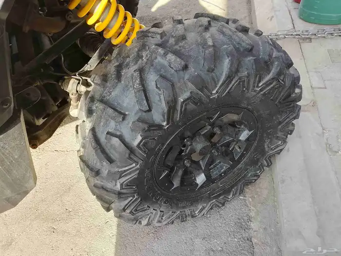 بقي كانام 2014 18