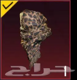 حساب ببجي كونكر 5 3