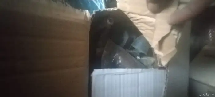 قطع غيار السيارات قديمه جديده 14