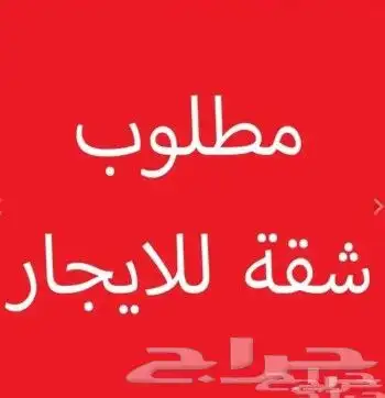 مطلوب شقة غرفتين إيجار شهري 0