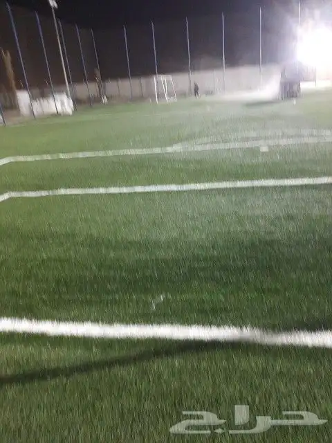 معلم العشب نجيله حدائق صناعي بيت استراحة أرضي تر يبات 3