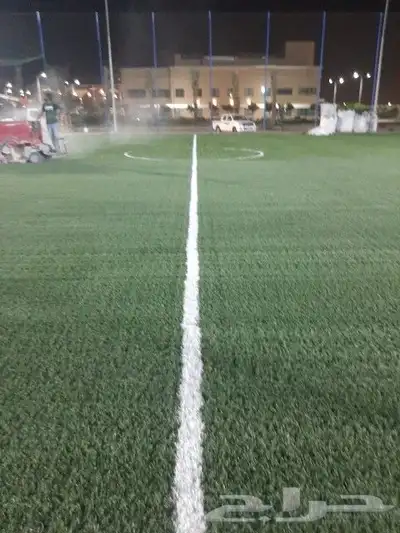 معلم العشب نجيله حدائق صناعي بيت استراحة أرضي تر يبات index