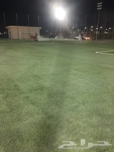 معلم العشب نجيله حدائق صناعي بيت استراحة أرضي تر يبات index