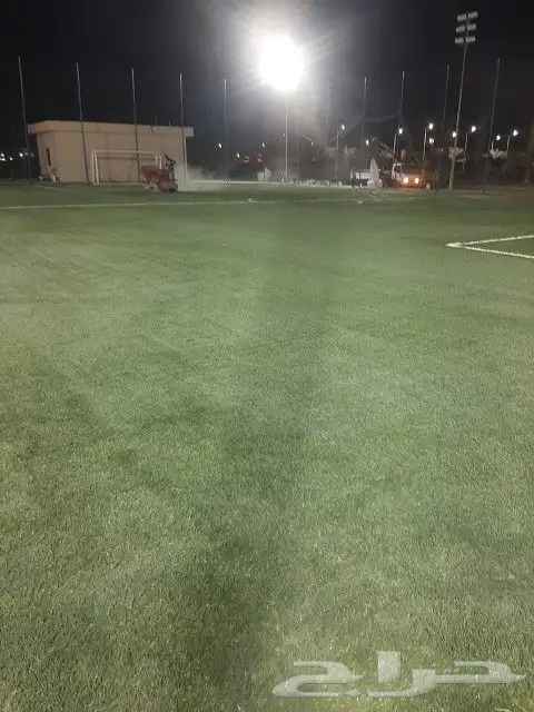 معلم العشب نجيله حدائق صناعي بيت استراحة أرضي تر يبات 7